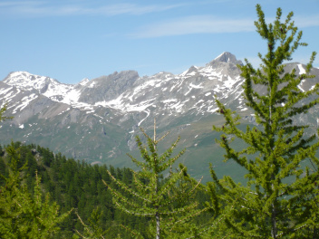 Montagnes et foret