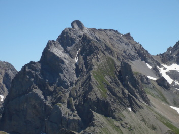 Autovallonasso et sa grande oreille