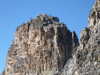 Bouquetins, chamois, chèvres sur Monte Albragge