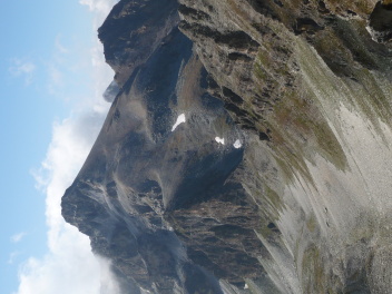 Col Bellino