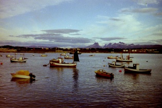 Bateaux ancrés ça et là dans la rade de Bodø