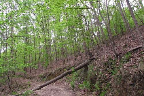 Chemin entre chasse St-Ignace et Zuhalmendi