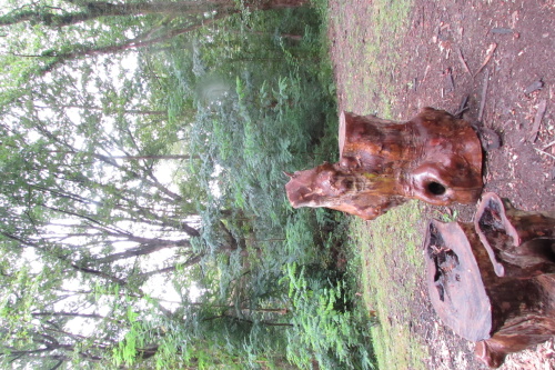 Coin Sare, Tronc d’arbre sculpture #2