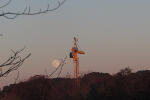 Lune et grue, zoom
