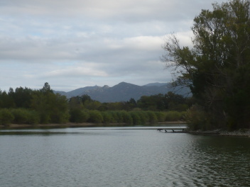 Lac de Villelongue-dels-Monts avec les Albères avec arbres au bord de l’eau